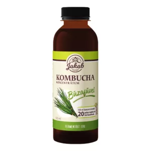 Kombucha koncentrátum bűzafűvel kiegészítve, a vitaminok és ásványi anyagok természetes forrása