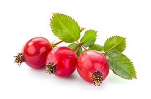csipkebogyó hús por (150 g)