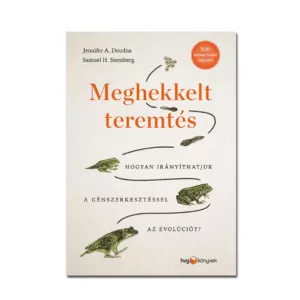 meghekkelt teremtes