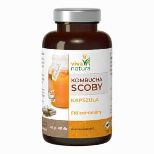 kombucha kapszula (60 db)