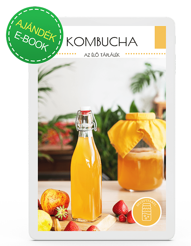kombucha ebook650x835.png