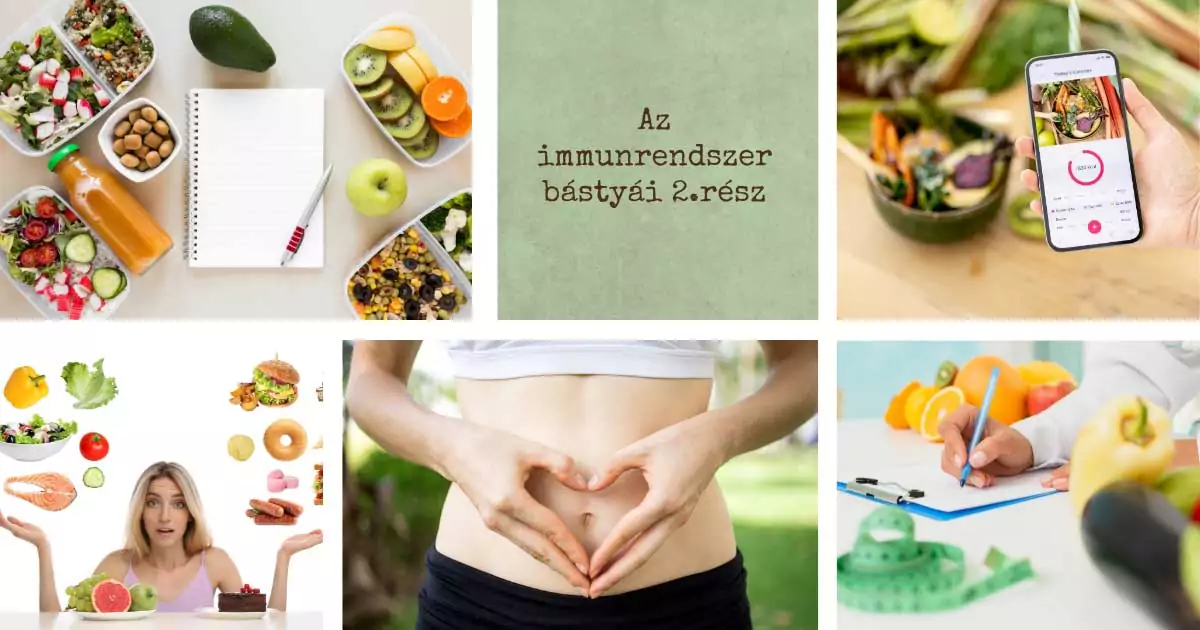 immunrendszer bastyai2