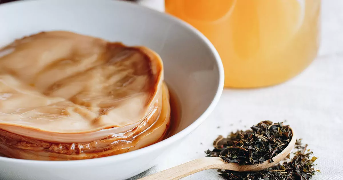 mikrobiom kombucha