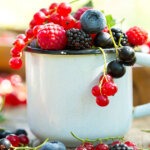 flavonoid antioxidáns fiatalság