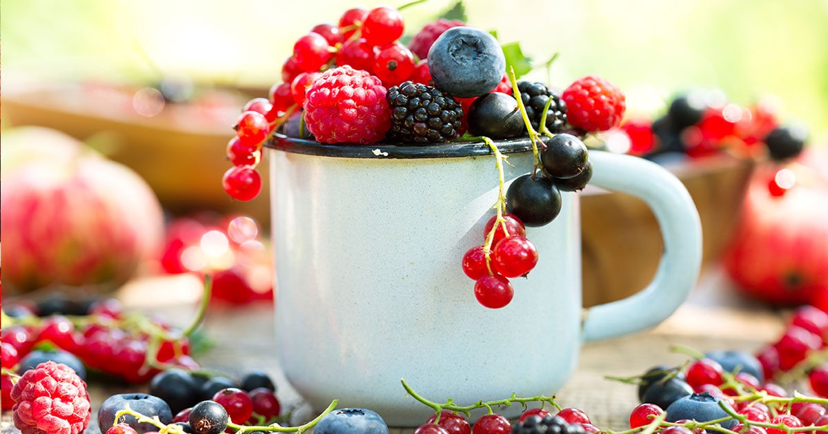 flavonoid antioxidáns fiatalság