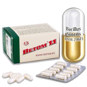 vetom 1.1 probiotikum kapszula (50 db)