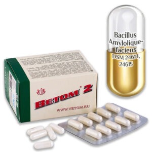 vetom 2 probiotikum kapszula (50 db)