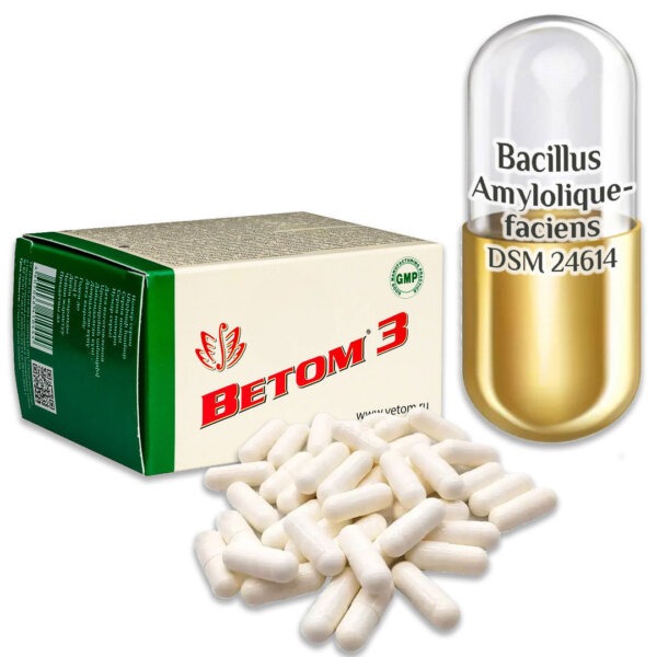 vetom 3 probiotikum kapszula (50 db)
