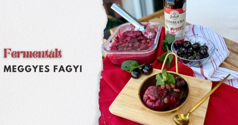 fermentált meggyes fagyi recept