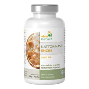 nattokinase enzim 2000 fu vegetáriánus kapszula (90 db)