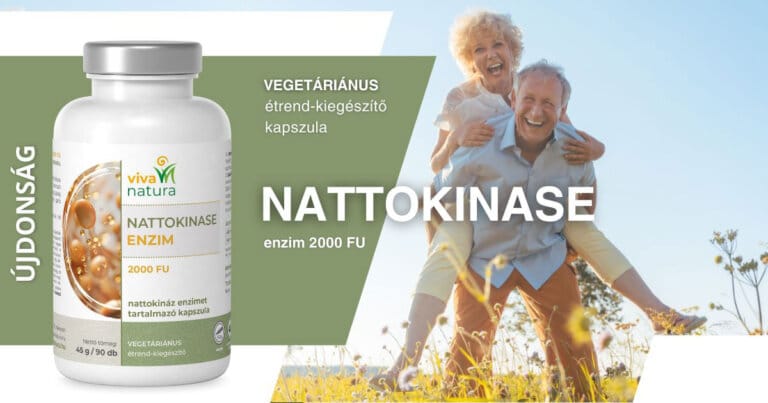 nattokinase enzim 2000 fu vegetáriánus kapszula (90 db)