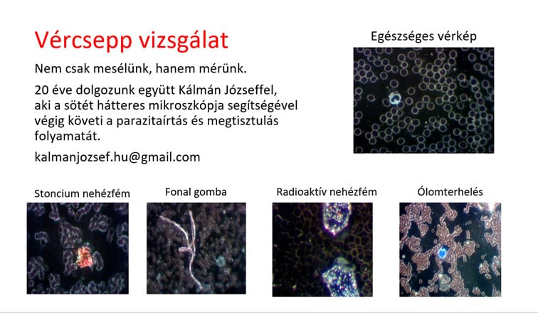 vercsepp vizsgalat