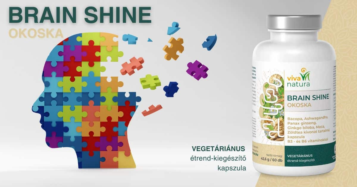 d c pluszitalpor1200